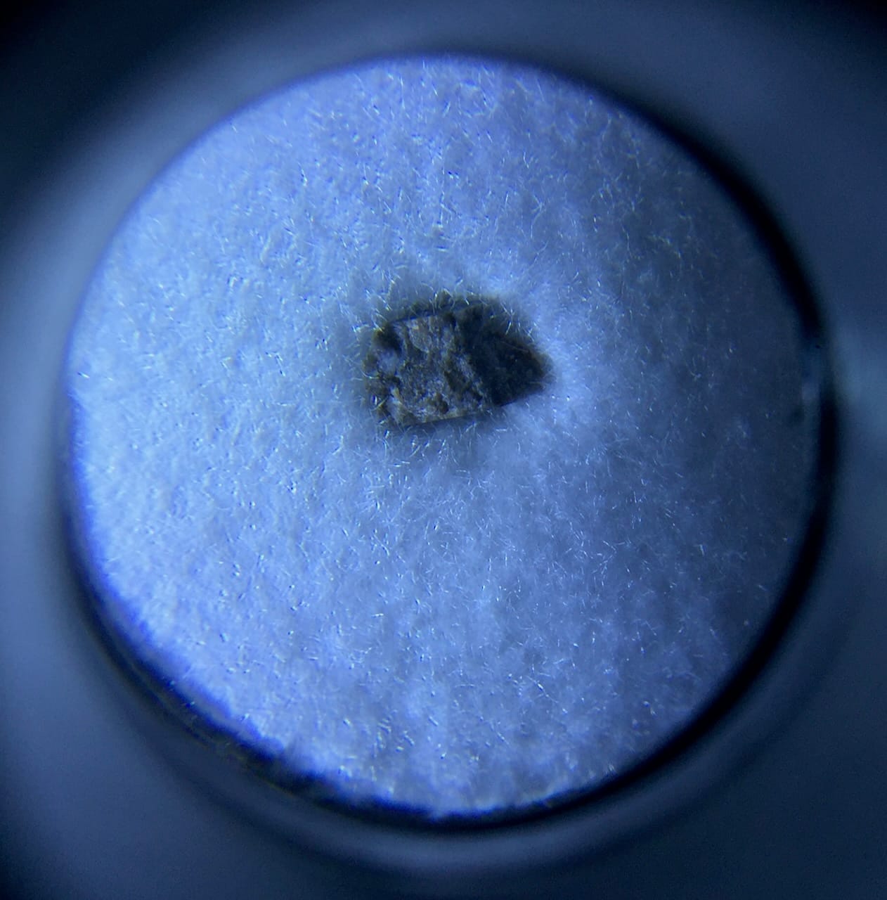 Meteoritvizsgálat és asztrobiológia